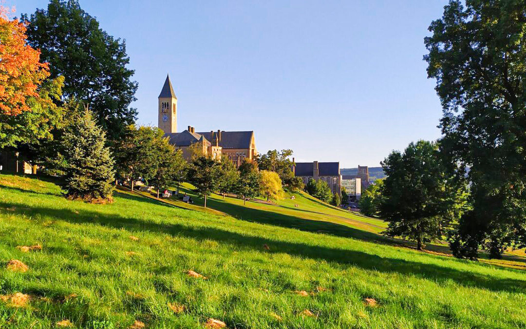 Overwhelmingly Vaccinated Cornell University Shuts Down Campus as COVID-19 Cases Spike