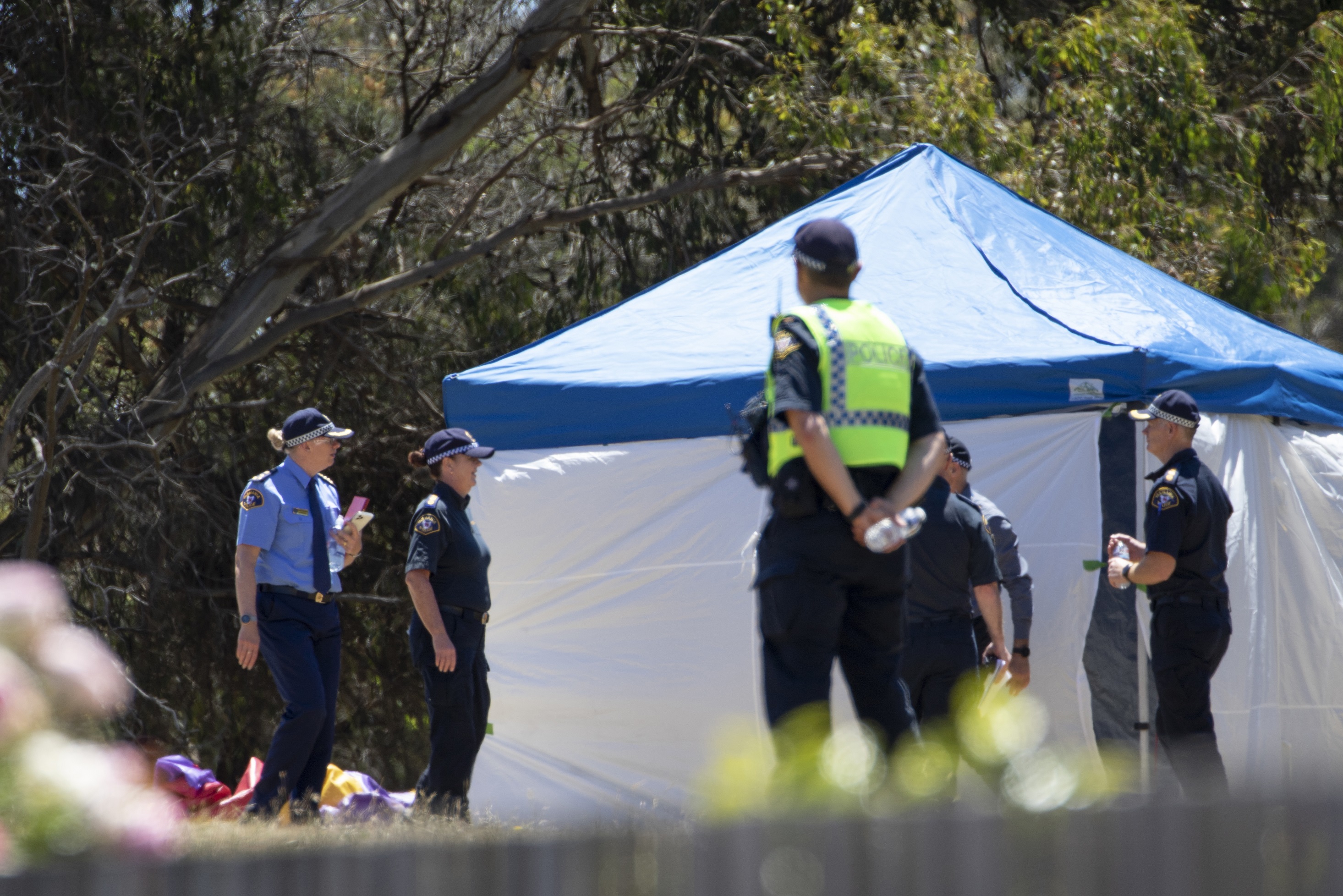 Australian PM to Visit Davenport After 5 Children Die in Freak Weather Event - Vimarsana News