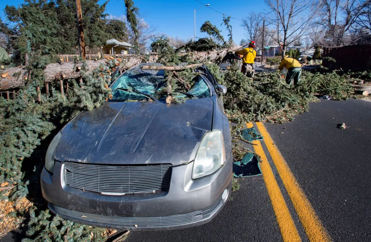 Members of the Colorado Springs Utilities Catamount crew remove a fallen tree that crushed a car driving westbound on Unitah Street in Colorado Springs, Colo., as wind gusts reached more than 100 mph in the Pikes Peak Region on Dec. 15, 2021. (Christian Murdock/The Gazette via AP)