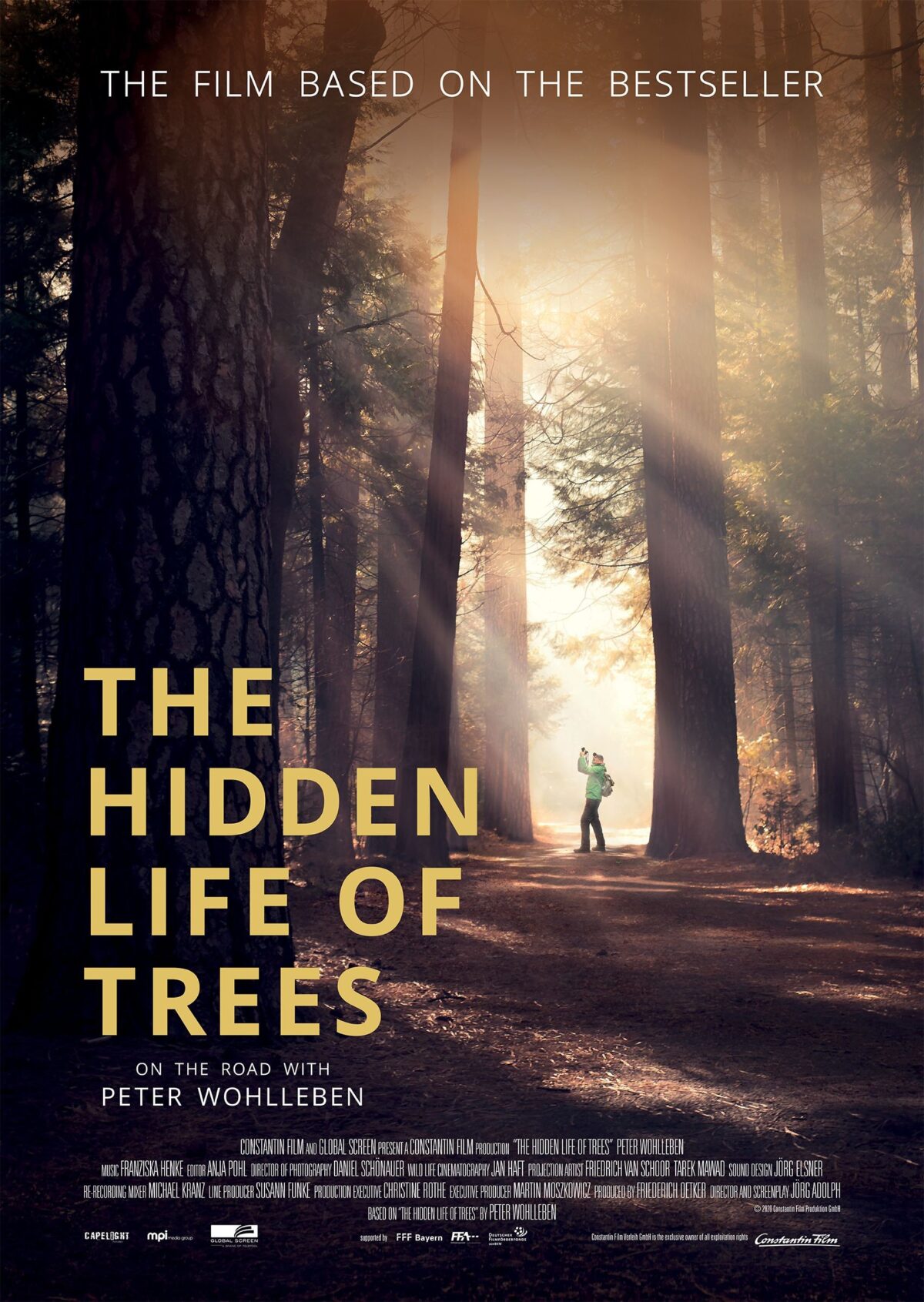 movie poster for The Hidden Life of Trees