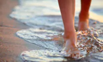 How to Counter Free Radicals, Heal Autoimmune Disease