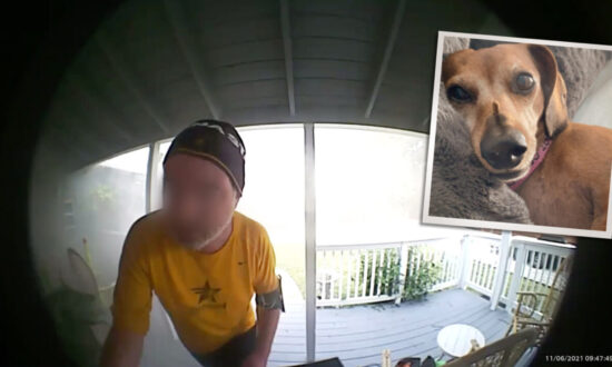 Jogger Uses Ring Doorbell Cam to Alert Family to House Fire in Garage—Then Saves Family Dog