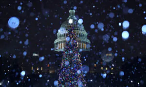 2024 US Capitol Christmas Tree Lighting Ceremony