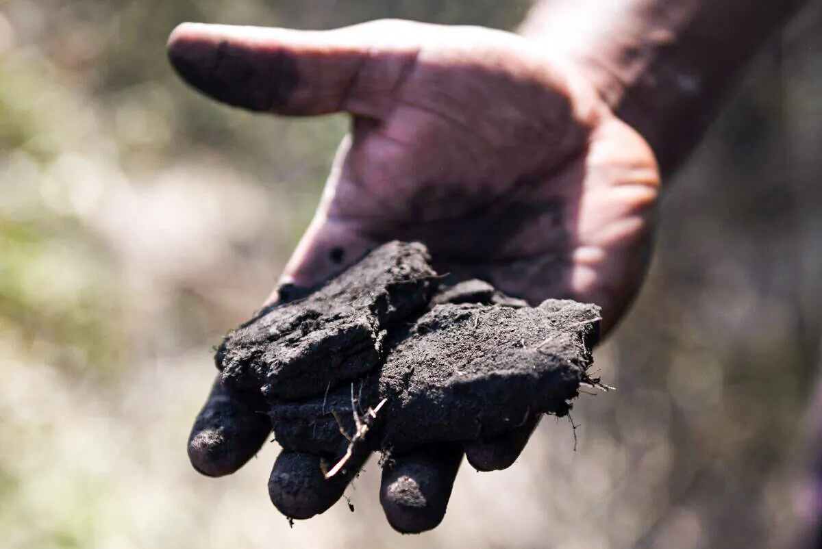 An Indian villager holding coal chunks in Uncha Amipur village, near the National Thermal Power Corporation coal plant in Dadri, India, on Dec. 7, 2017. (MONEY SHARMA/AFP via Getty Images)