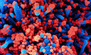 NIH Scientist: US Ignored Natural Immunity, Hurt Pandemic Response.