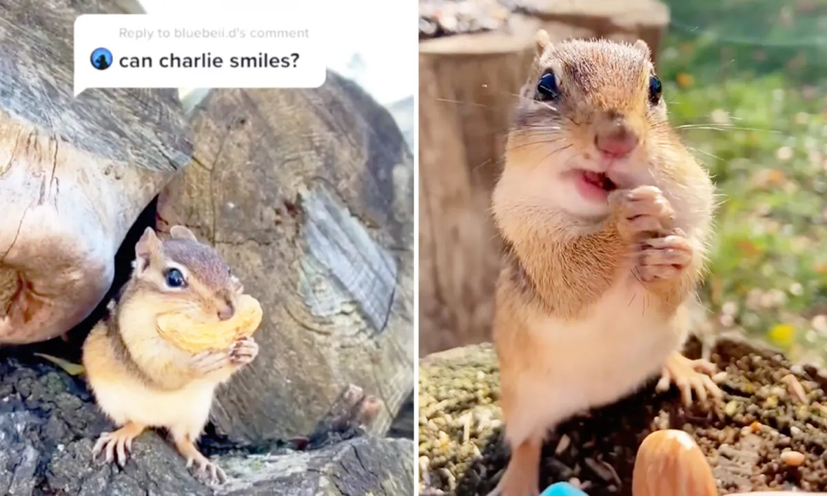 (Courtesy of Borjana Anicin)