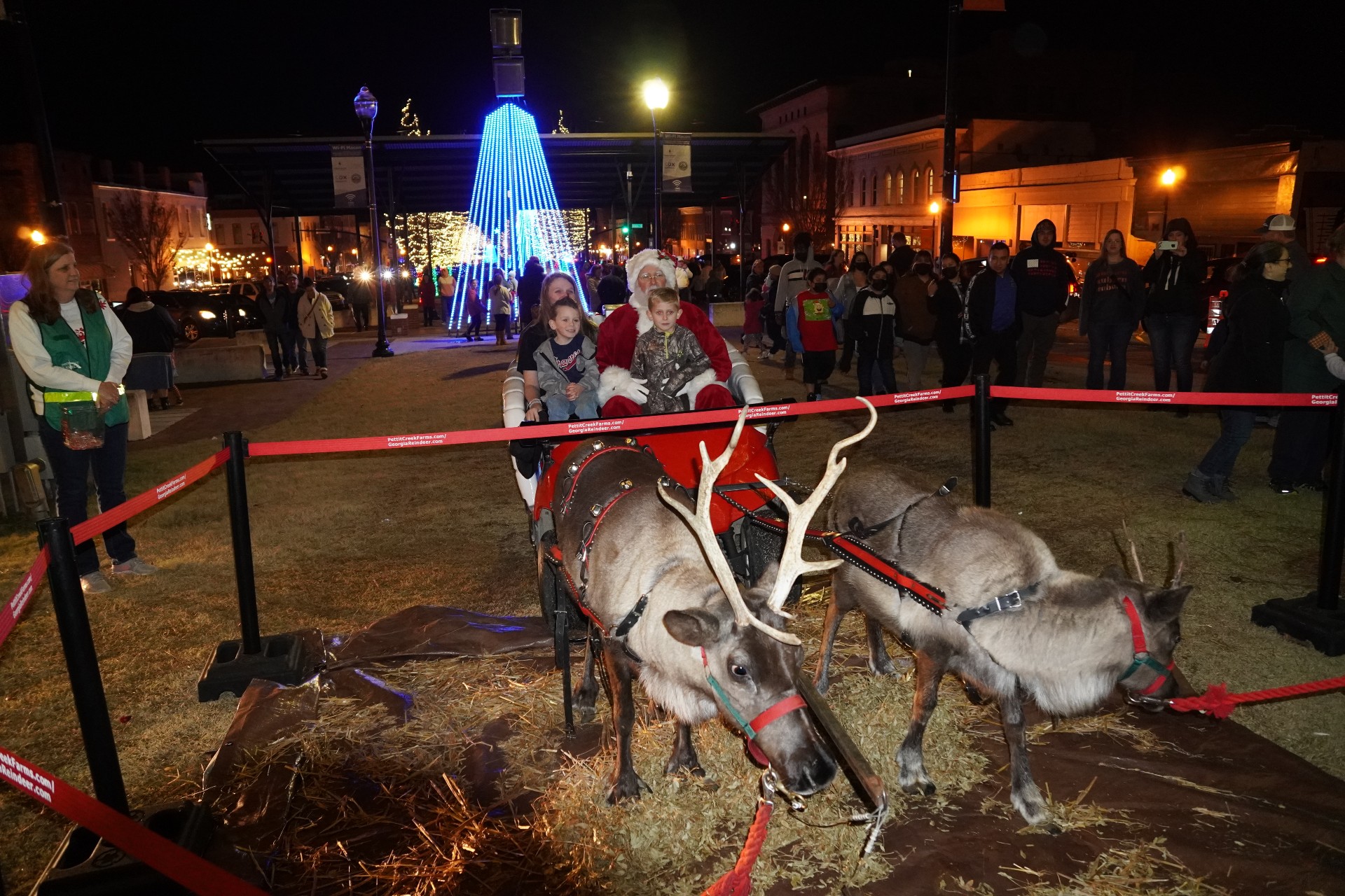 Reindeer Rentals Bring Christmas Vibes to the Sun Belt - Vimarsana News