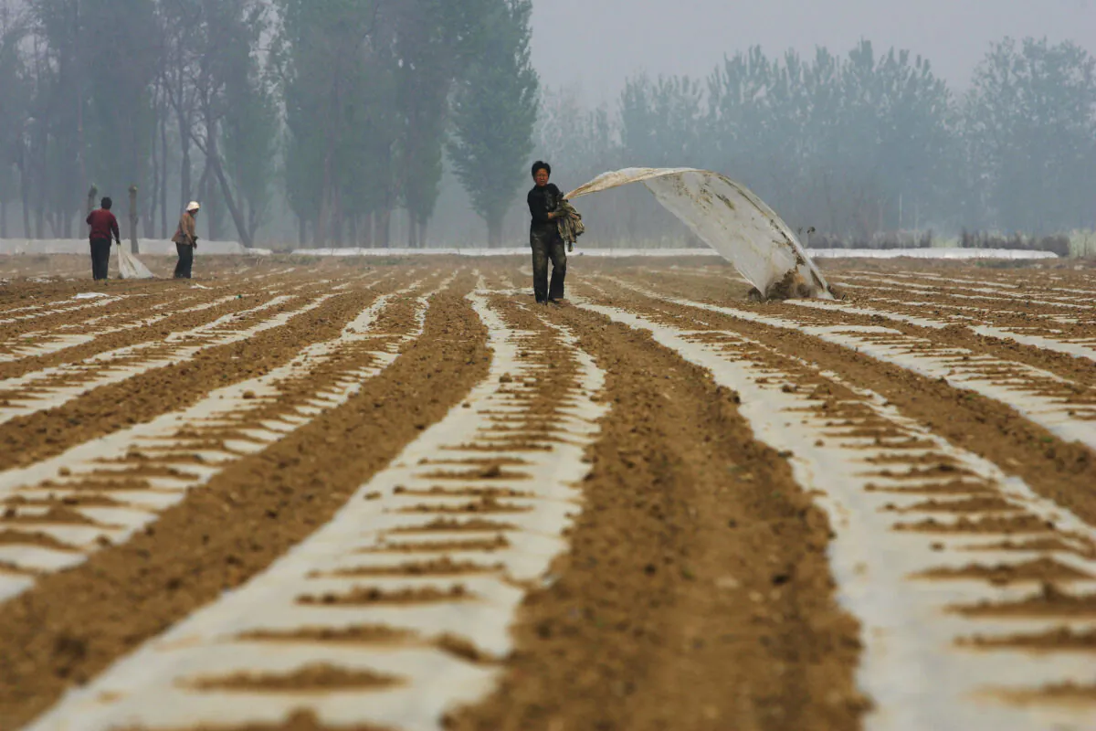 Chinese farmers work on a field on April 16, 2008 on the outskirts of Beijing, China. (Guang Niu/Getty Images)