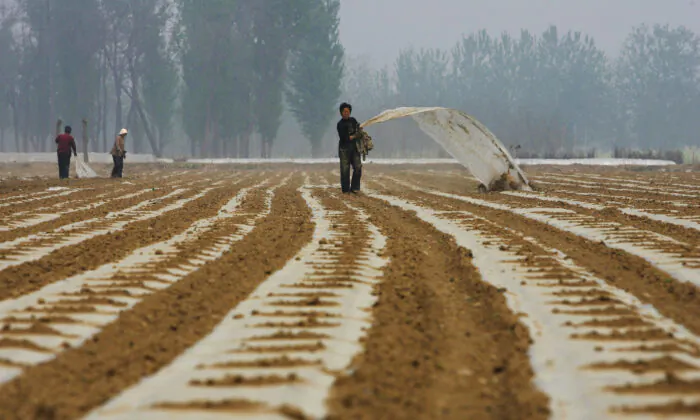 Chinese farmers work on a field on the outskirt of Beijing on April 16, 2008. (Guang Niu/Getty Images)