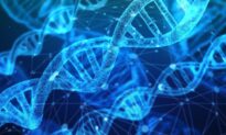 DNA Test Revolutionises Disease Diagnosis