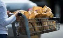 Feds Moving to Ban Plastic Straws, Bags by End of 2022: Guilbeault