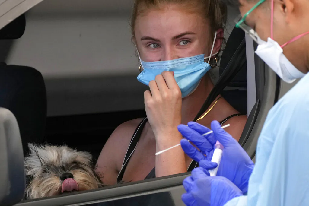 A dog keeps an eye on the presses as a woman has a swab taken at a drive-through COVID-19 testing clinic at Bondi Beach in Sydney, Tuesday, Dec. 21, 2021. (AP Photo/Rick Rycroft)