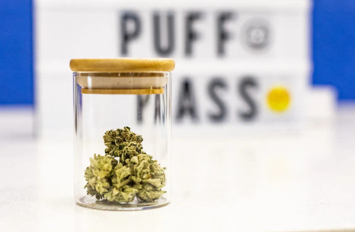 Cannabis samples at Calalyst Cannabis in Santa Ana, Calif., on Feb. 18, 2021. (John Fredricks/The Epoch Times)