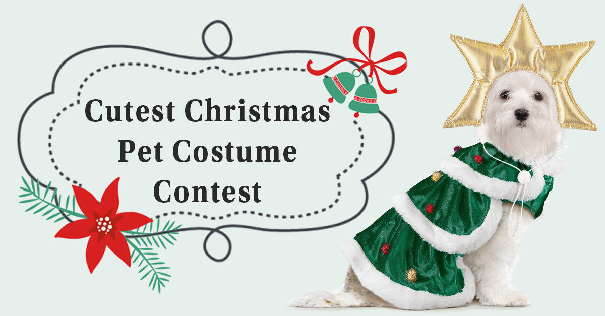 Cutest Christmas Pet Costume Contest