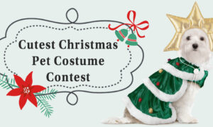 Cutest Christmas Pet Costume Contest
