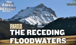 Flood Geology Series (Episode 10):  Receding Floodwaters Part2