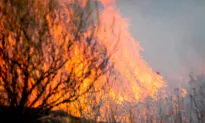 Santa Ana Winds Prompt Power Shutoffs, Red Flag Alert in Southern California