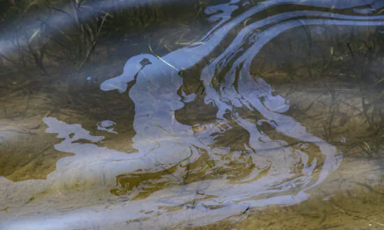 Officials Say Pipeline the Source of Oil Sheen Off Huntington Beach