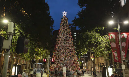 Christmas Tree Shortage Stumps Australian Holiday Celebrations