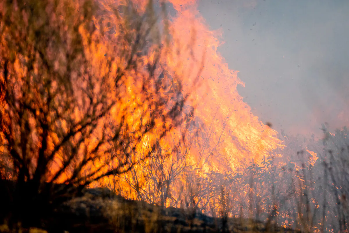 A wildfire burns in Silverado Canyon, Calif., on Dec. 3, 2020. (John Fredricks/The Epoch Times)