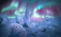 2021 Northern Lights Photographer of the Year Winners Feature Auroras Above Volcanoes, Frozen Forests, and Fjords