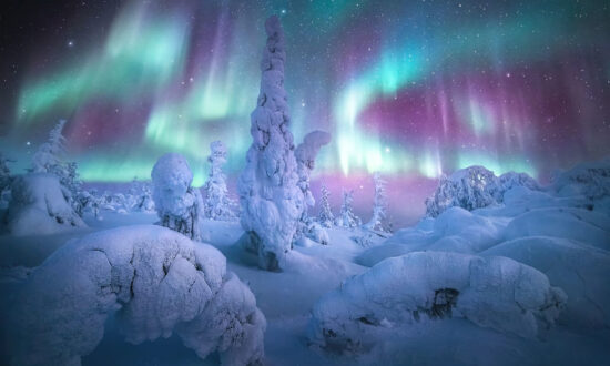 2021 Northern Lights Photographer of the Year Winners Feature Auroras Above Volcanoes, Frozen Forests, and Fiords