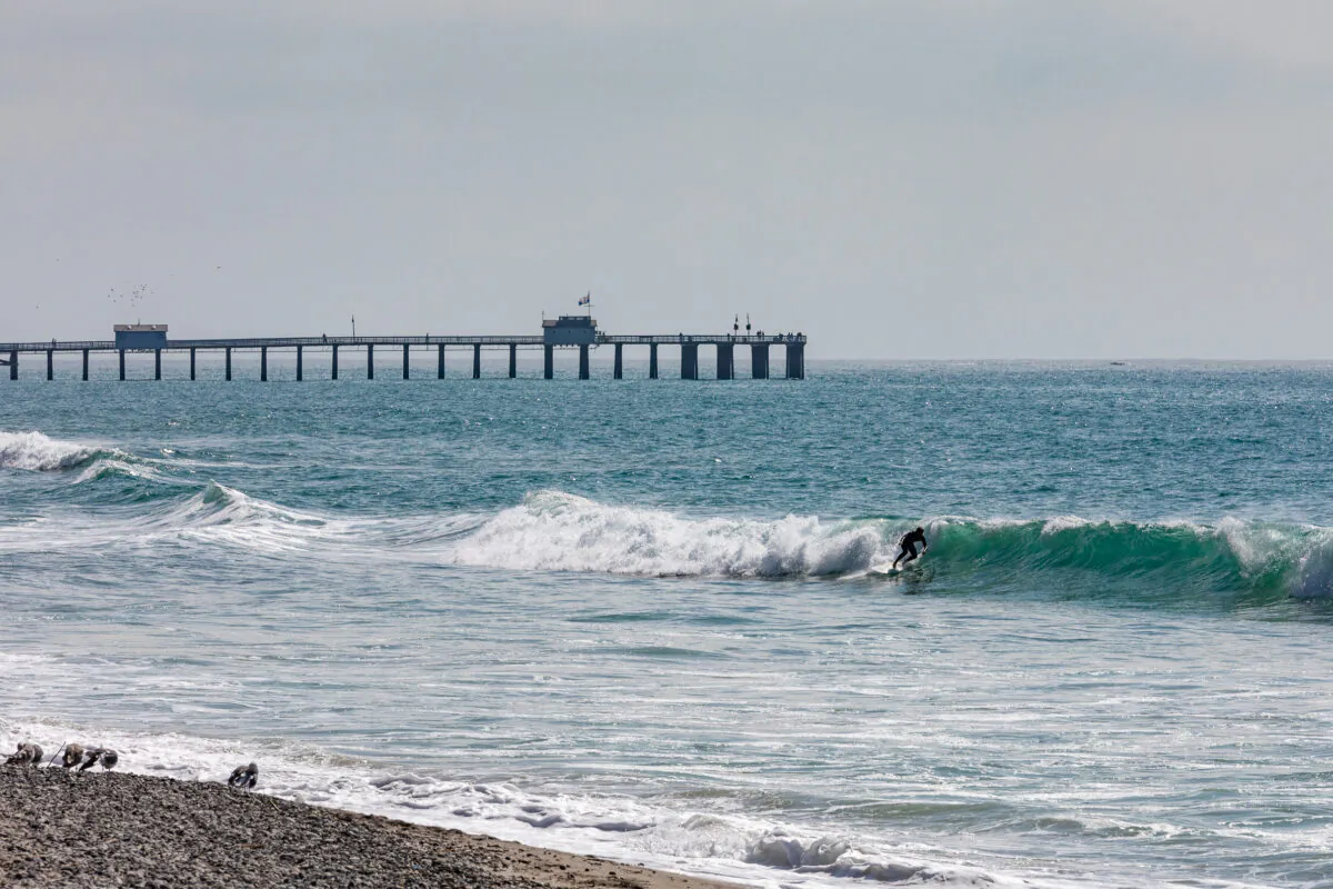 San Clemente, Calif., on Oct. 20, 2020. (John Fredricks/The Epoch Times)