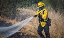 While California Dries Out and Burns, Bureaucrats Hype Diversity