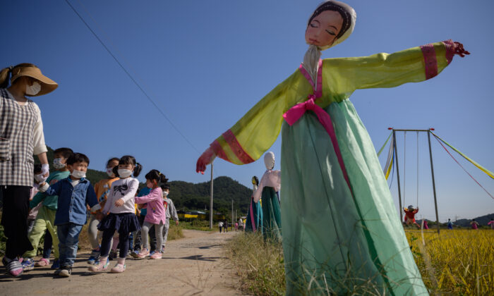 School children walk past a scarecrow wearing traditional Korean 'hanbok' dress is displayed beside a rice field in Suncheon on Oct. 7, 2020. (Ed Jones/AFP via Getty Images)