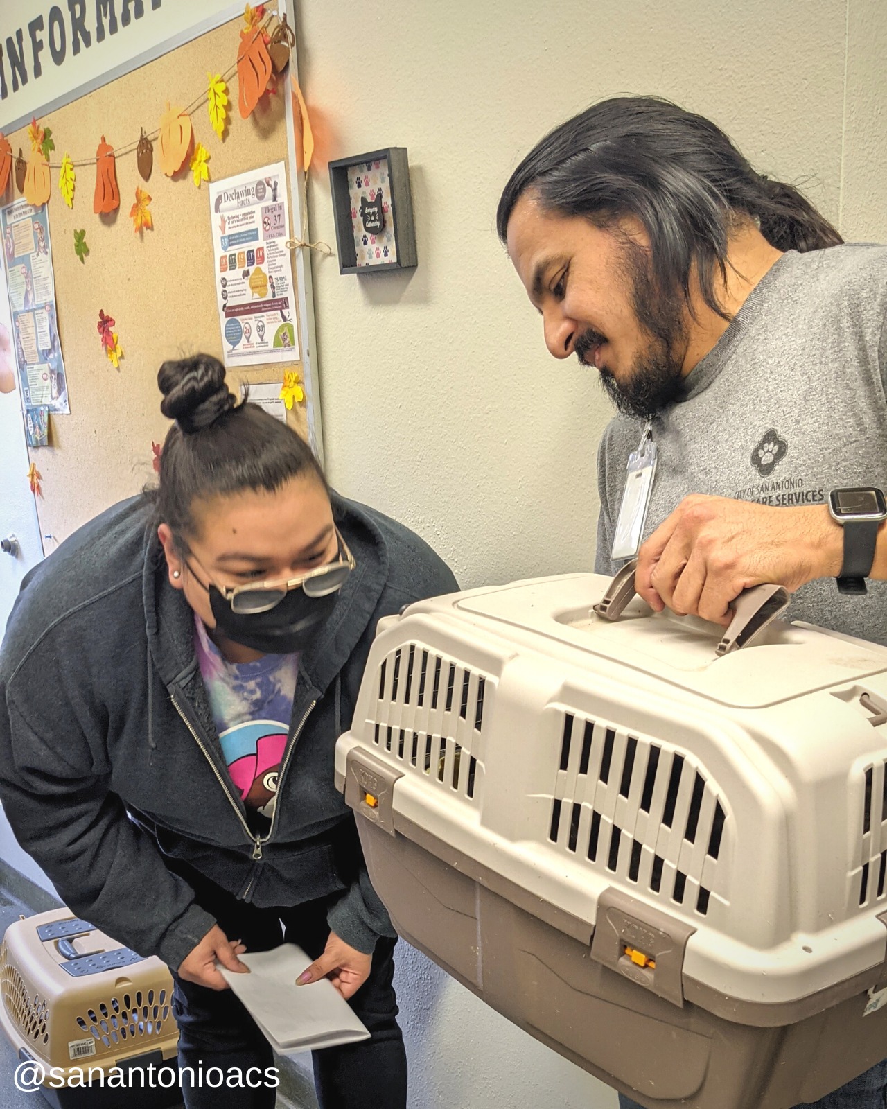 Missing Cat Reunited With Owner After 6 Years Thanks To Relentless ...