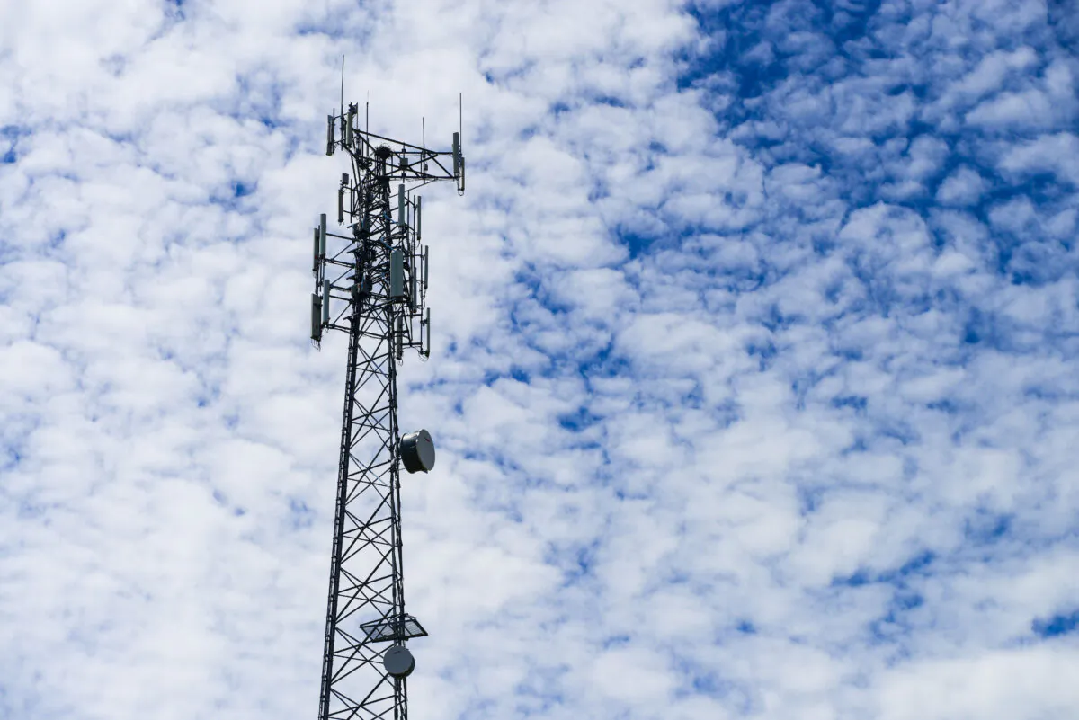 A cell tower in rural Ontario in a file photo. (The Canadian Press/Sean Kilpatrick)