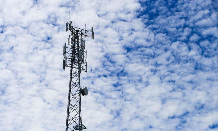 A cell tower in rural Ontario in a file photo. (The Canadian Press/Sean Kilpatrick)