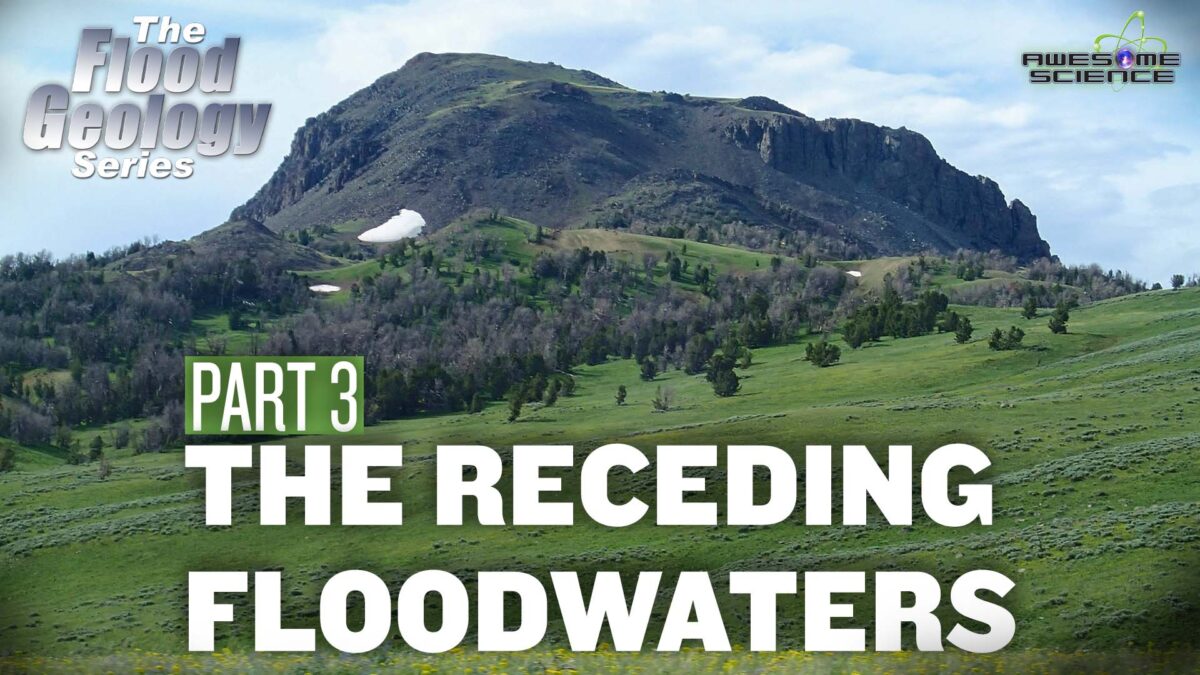 Flood Geology Series (Episode 11): Receding Floodwaters Part3