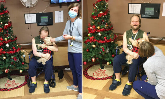 60-Year-Old in Hospital Separated From Beloved Dog—Until Kind Nurse Adopts Him, Reunites Them Before Christmas