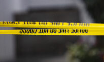 6-Year-Old Boy Killed in San Diego Traffic Crash