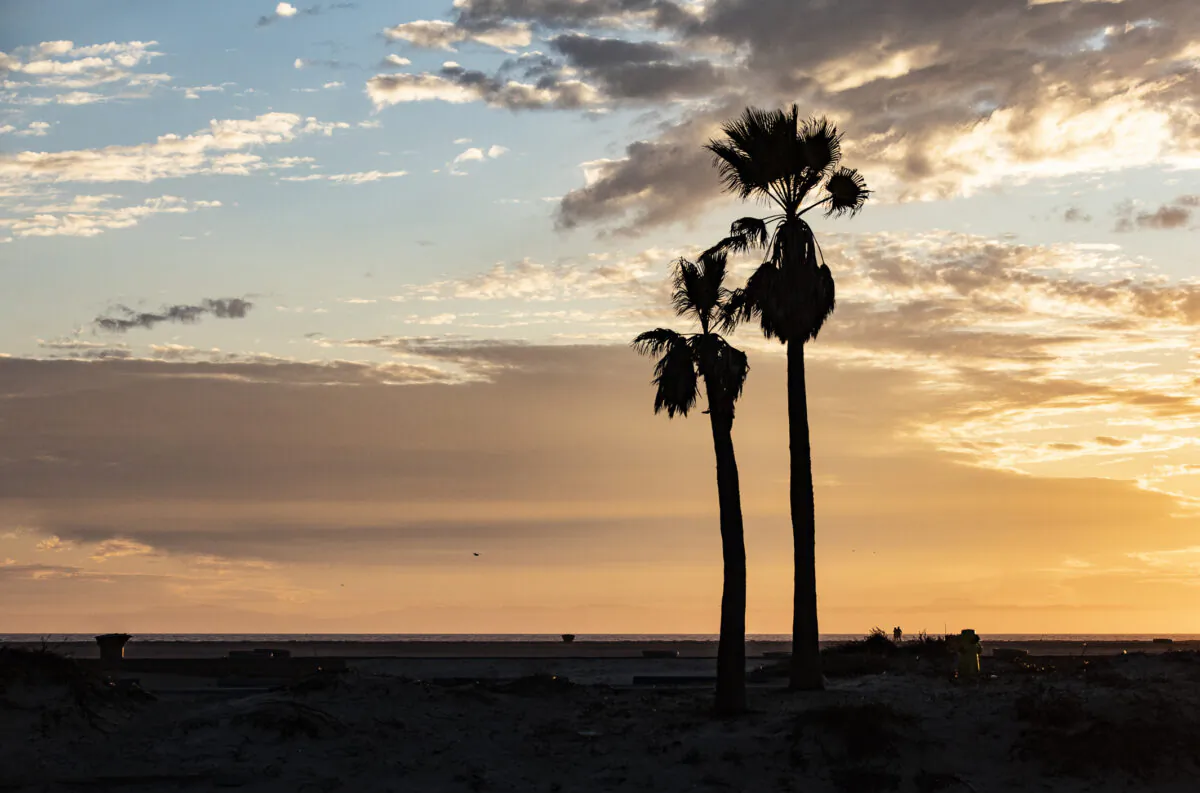 Huntington Beach, Calif., on Nov.11, 2020. (John Fredricks)