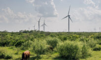 Texas Relies More on Wind Than Coal for Its Energy—But Is It Ready for Another Winter Storm?