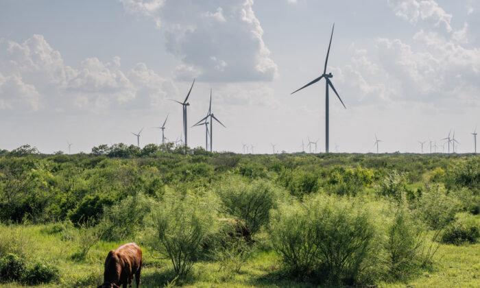 BlackRock, State Street Admit Signing Net-Zero Pledges They Don’t Act On