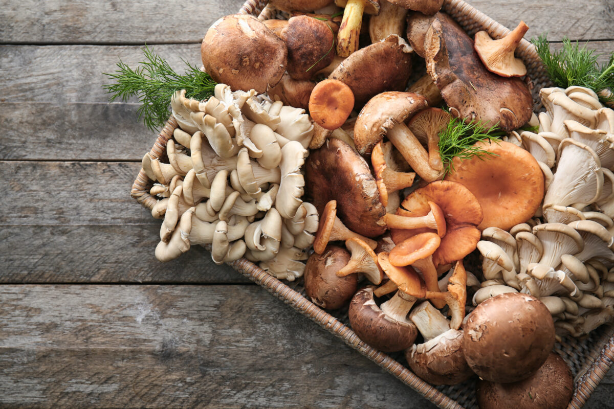 Among the medicinal mushrooms on the market are those with immune-system-boosting properties. (Africa Studio/Shutterstock)