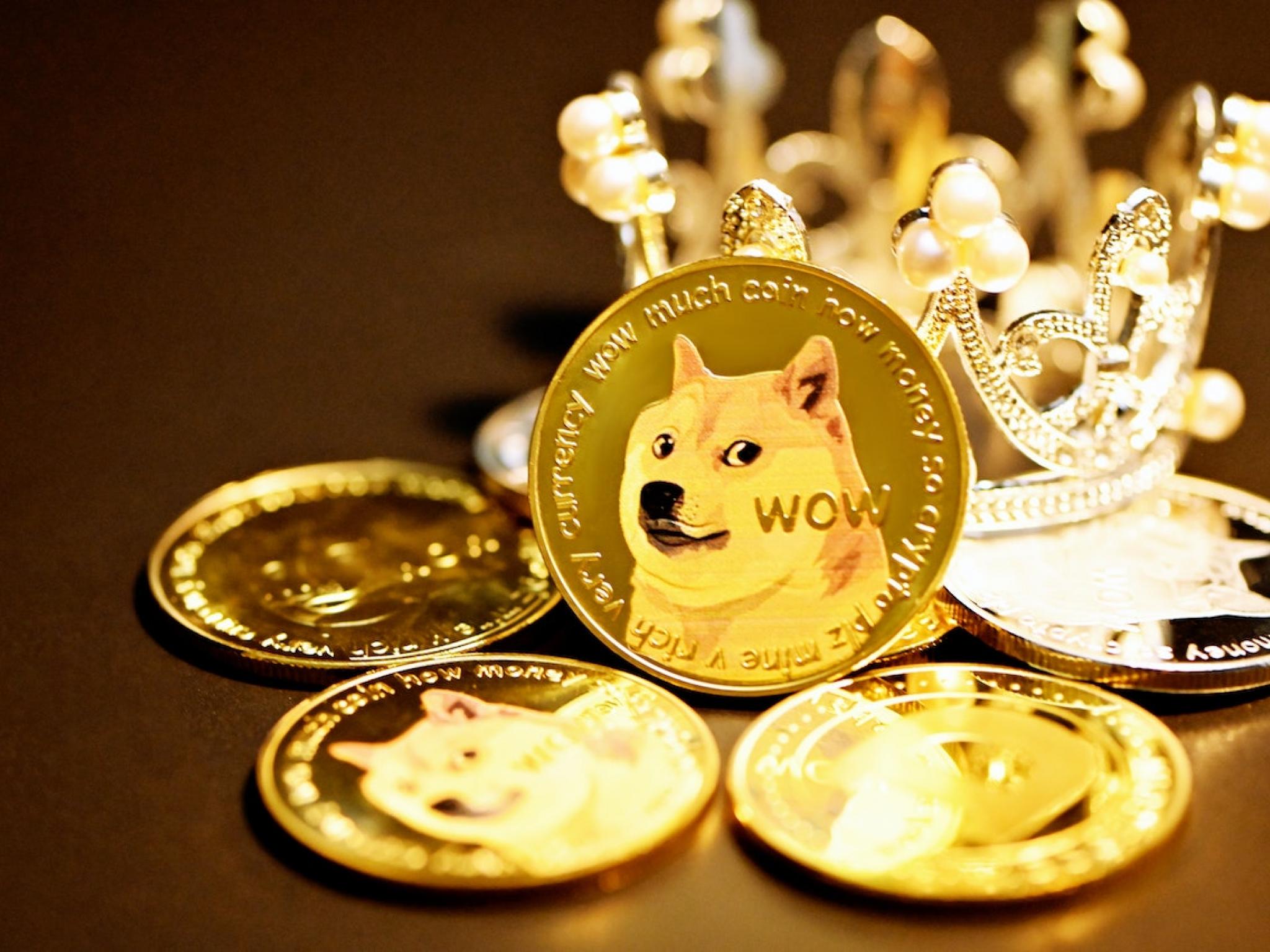 2021 Was The Year Of Dogecoin: A Month By Month Retrospective With Top Stories - Vimarsana News