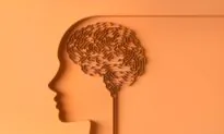 Exercise ‘Sweet Spot’ Reverses Cognitive Decline in Aging Mice