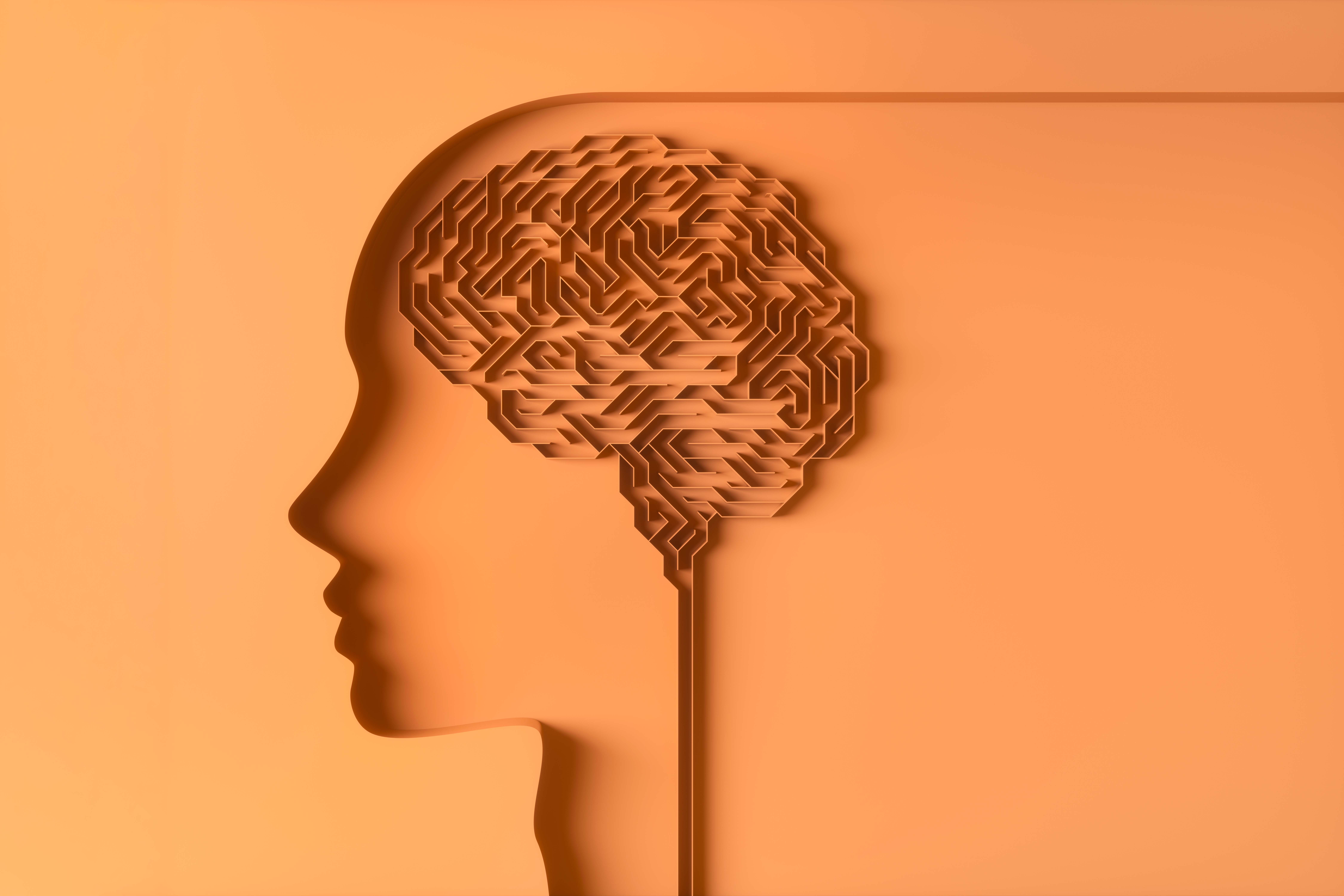 Exercise 'Sweet Spot' Reverses Cognitive Decline in Aging Mice - Vimarsana News
