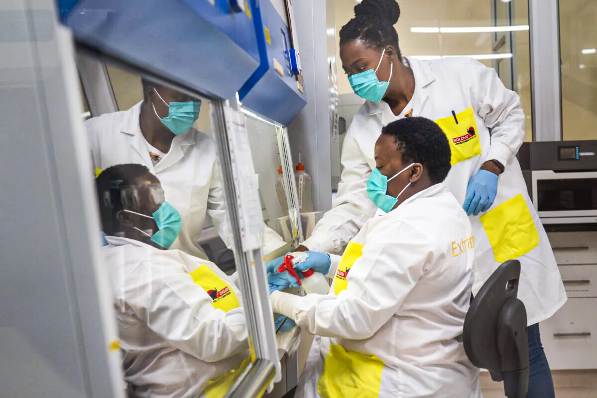 Melva Mlambo, right, and Puseletso Lesofi, both medical scientists prepare to sequence COVID-19 omicron samples at the Ndlovu Research Center in Elandsdoorn, South Africa, on Dec. 8, 2021. (Jerome Delay/AP Photo, File)
