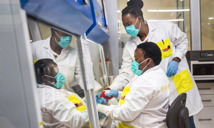 Melva Mlambo, right, and Puseletso Lesofi, both medical scientists prepare to sequence COVID-19 omicron samples at the Ndlovu Research Center in Elandsdoorn, South Africa, on Dec. 8, 2021. (Jerome Delay/AP Photo, File)