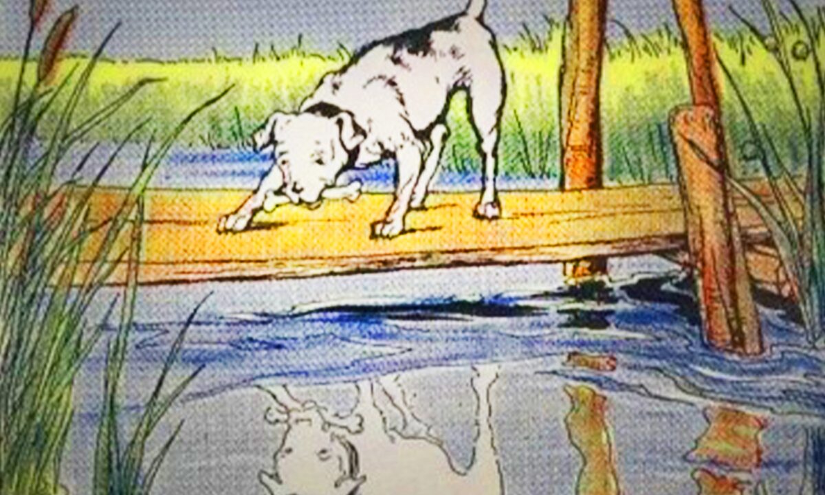 Aesop s Fables The Dog And His Reflection