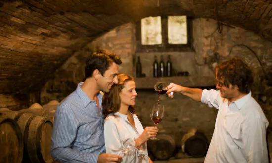 Why You Should Visit Wine Country Right Now