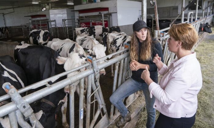 Marie-Claude Bibeau, Minister of Agriculture and Agri-Food, chats with farm owner Veronica Enright at her dairy farm in Compton, Que., Aug. 16, 2019. (The Canadian Press/Paul Chiasson)