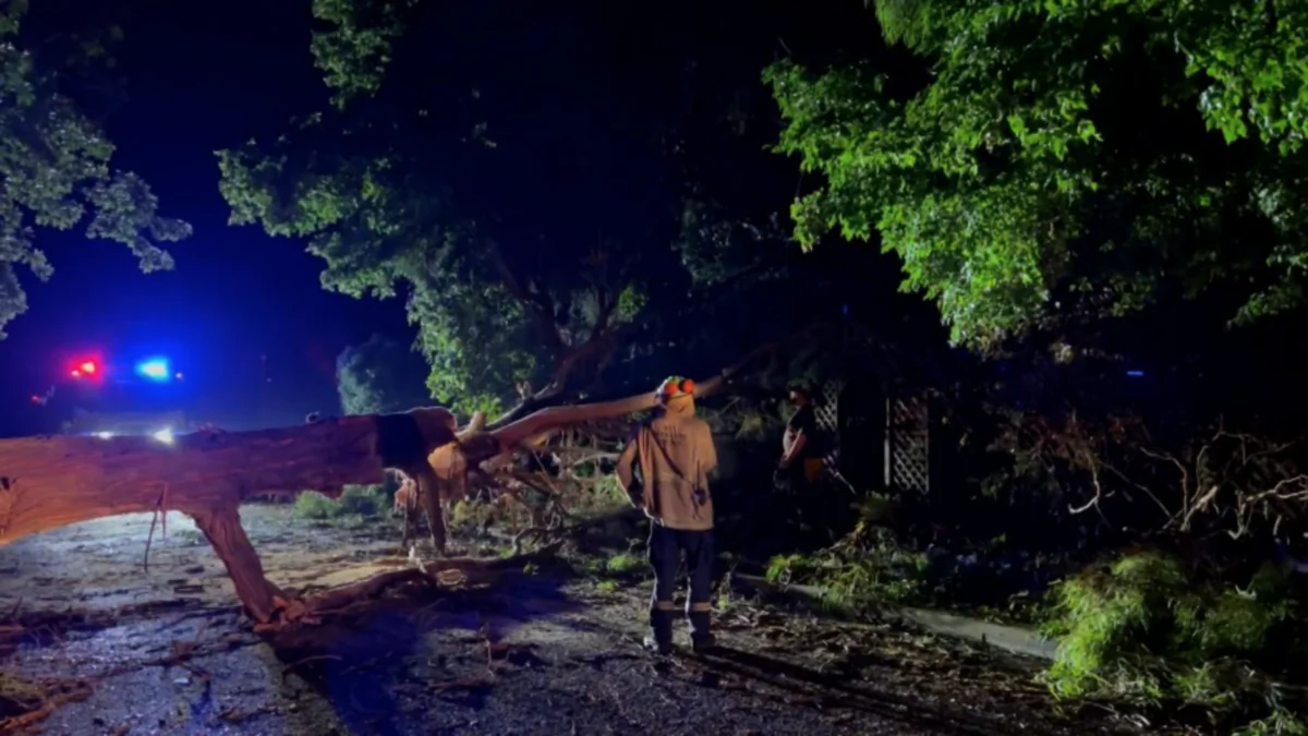 ACTRFS tree operations after a sever thunderstorm in Canberra, Australia, on Jan. 3, 2022. (ACT State Emergency Services)