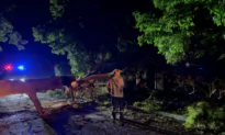 Days to Clean Up After Storm Hits Australian Capital Canberra