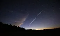 Japan Is First Asian Country With Starlink Satellite Internet Services